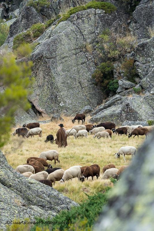 Senhora Da Estrela Al Lägenhet Seia Exteriör bild